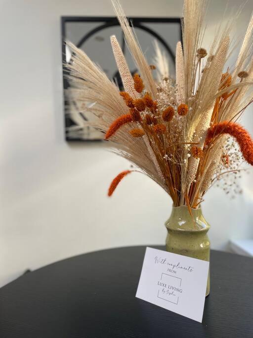 New Luxury For 2024 - Central Plymouth House - Sleeps 10 - Access To Plymouth Town - Close To The Barbican - Pets Welcome - Parking Available - By Luxe Living By Sophia Extérieur photo