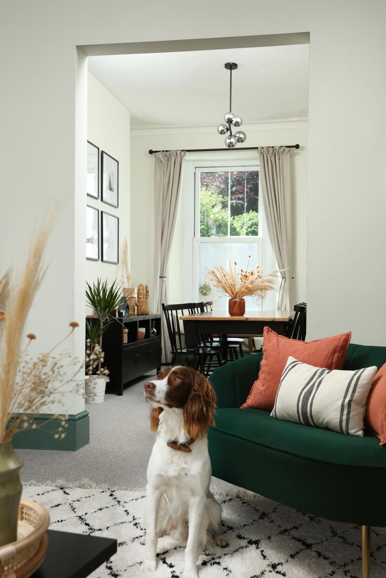 New Luxury For 2024 - Central Plymouth House - Sleeps 10 - Access To Plymouth Town - Close To The Barbican - Pets Welcome - Parking Available - By Luxe Living By Sophia Extérieur photo